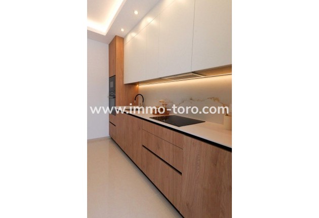 Nouvelle construction - Penthouse - Rojales - DOÑA PEPA