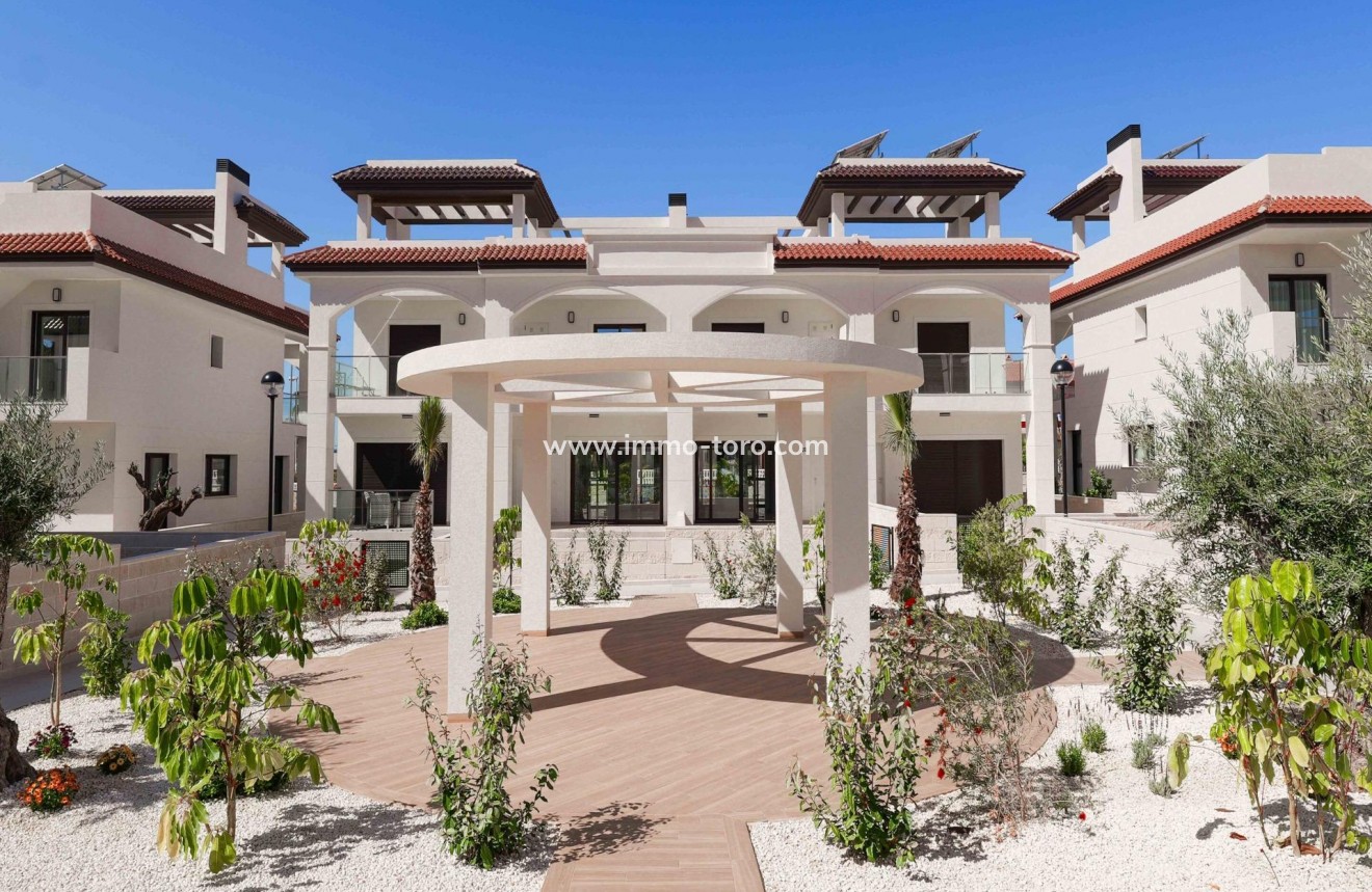 Nouvelle construction - Penthouse - Rojales - DOÑA PEPA