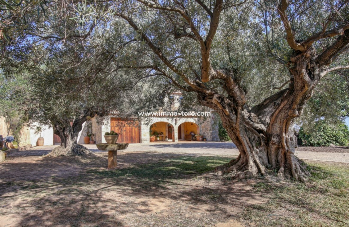 Herverkoop - Landgoed - Moraira - Campo