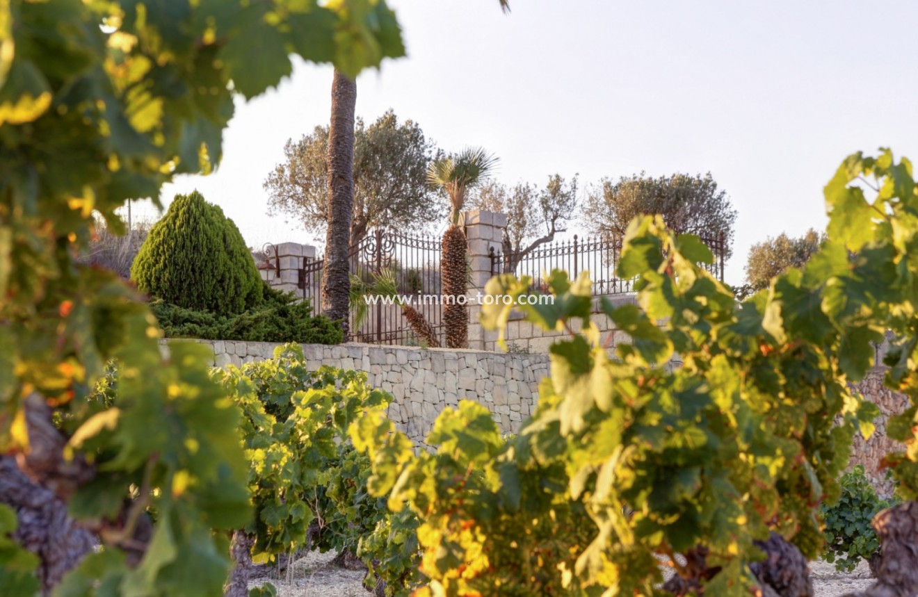 Herverkoop - Landgoed - Moraira - Campo