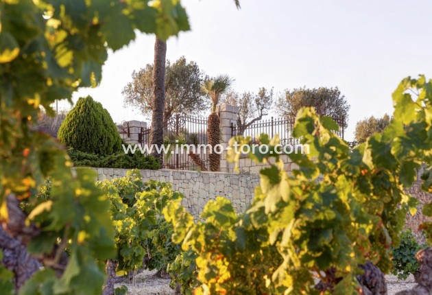 Herverkoop - Landgoed - Moraira - Campo