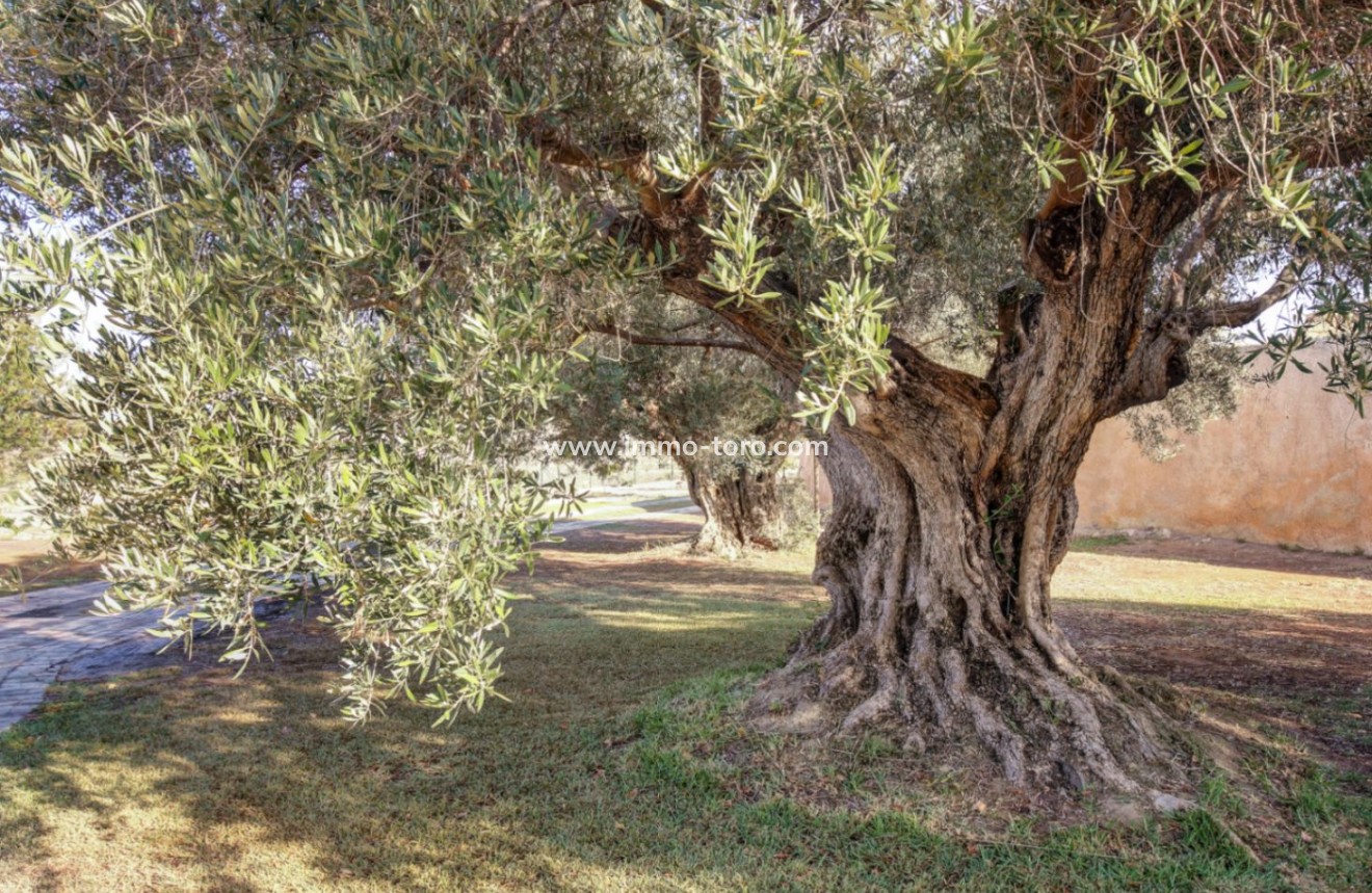 Herverkoop - Landgoed - Moraira - Campo