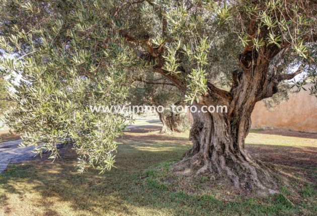 Herverkoop - Landgoed - Moraira - Campo