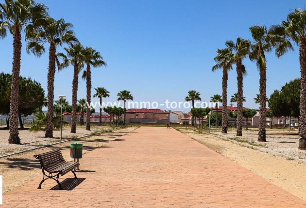 Nouvelle construction - Villa - San Fulgencio - La Escuera