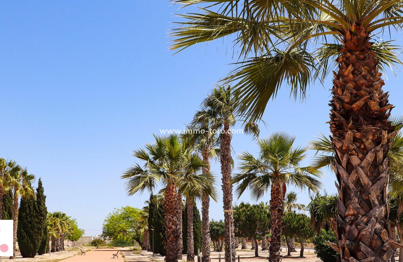 Nouvelle construction - Villa - San Fulgencio - La Escuera