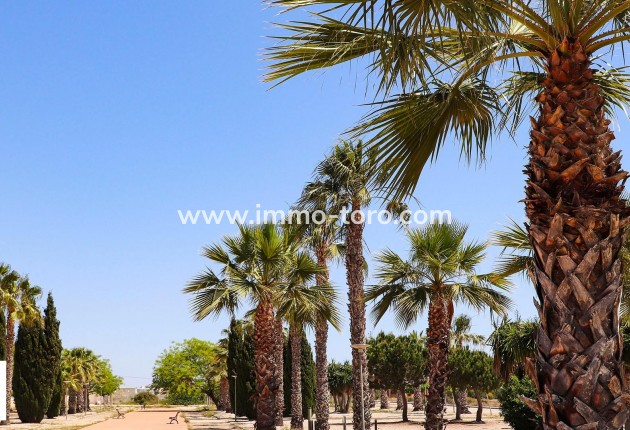 Nouvelle construction - Villa - San Fulgencio - La Escuera