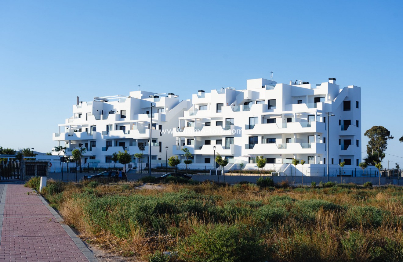 Nouvelle construction - Appartement - Torre Pacheco - Torre-Pacheco