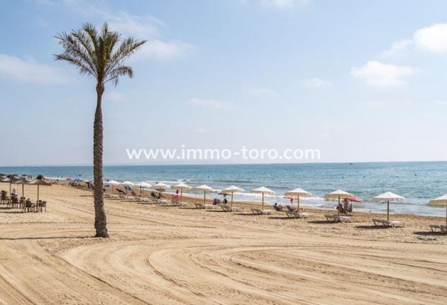 Nouvelle construction - Appartement - Guardamar del Segura - Pueblo