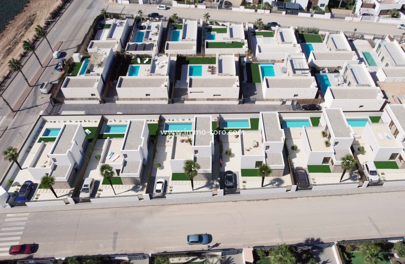 Nieuwbouw - Villa - Algorfa