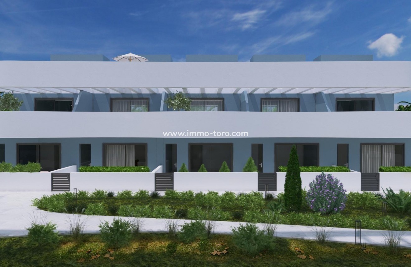 New Build - Detached house / Townhouse - Guardamar - EL RASO