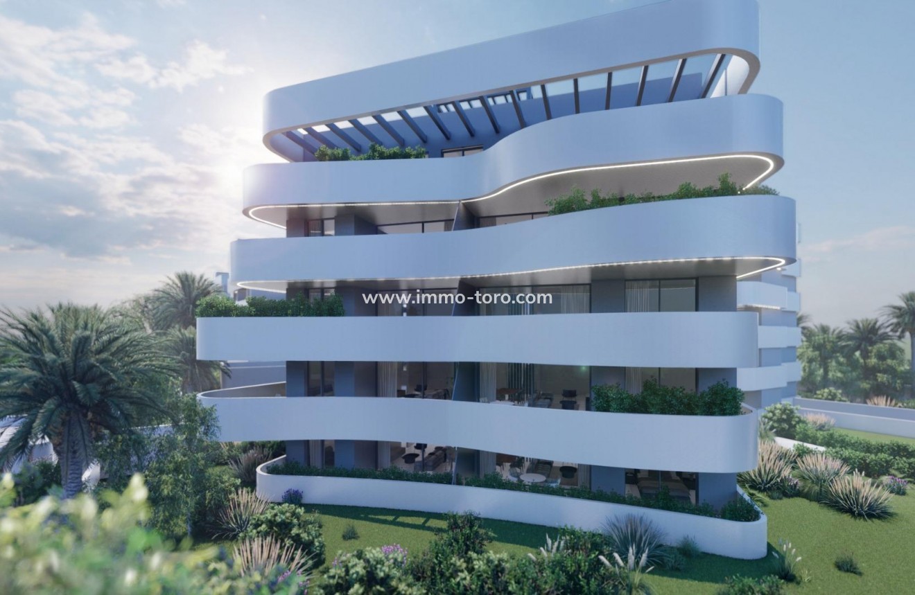 New Build - Detached house / Townhouse - Guardamar - EL RASO