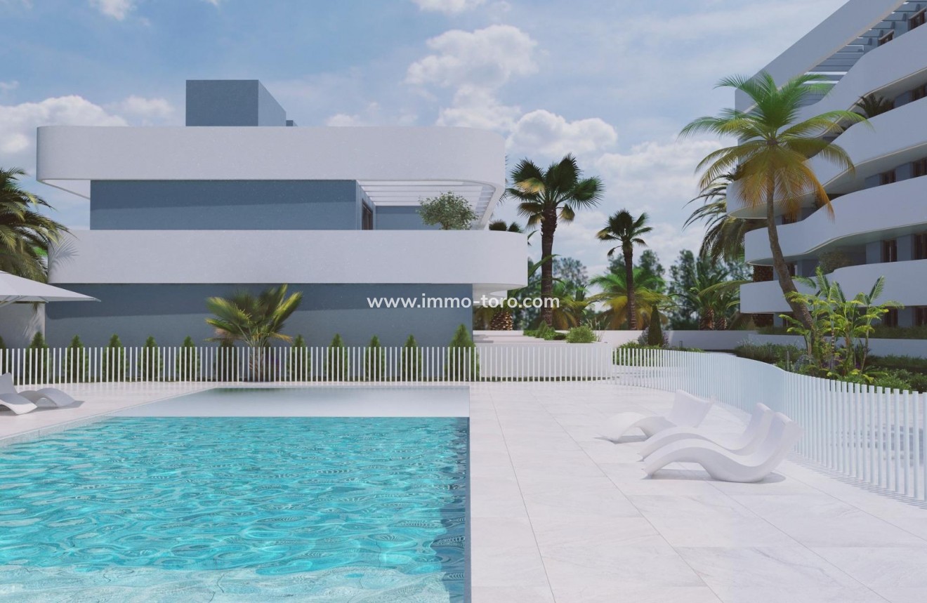 New Build - Detached house / Townhouse - Guardamar - EL RASO