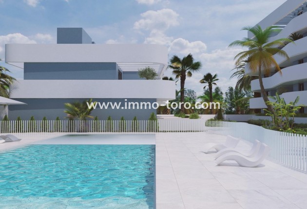 New Build - Detached house / Townhouse - Guardamar - EL RASO