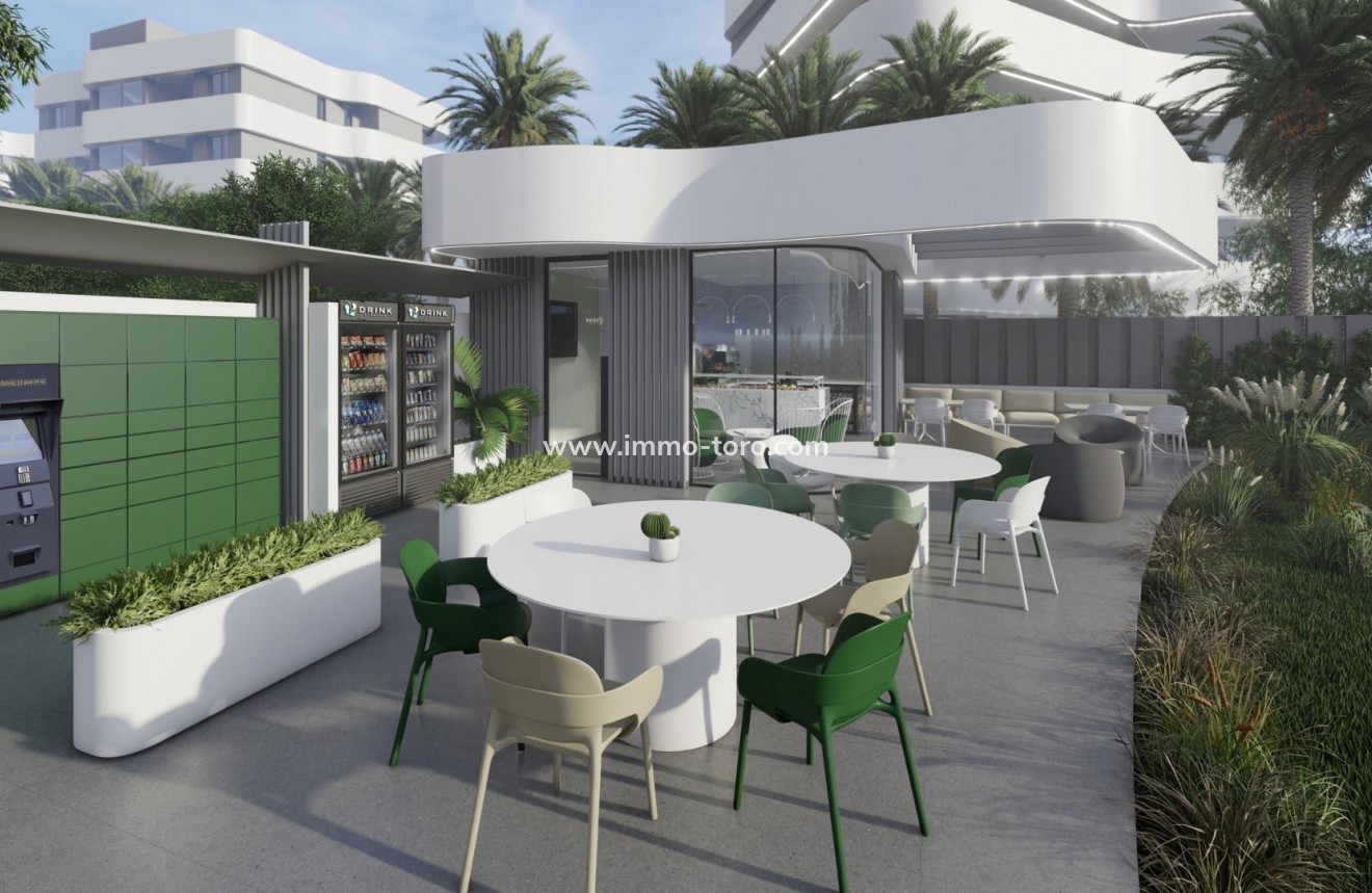 New Build - Detached house / Townhouse - Guardamar - EL RASO