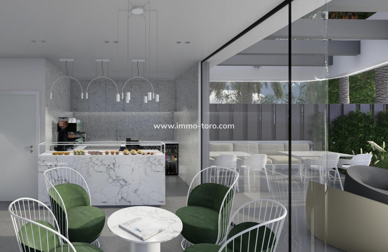 New Build - Detached house / Townhouse - Guardamar - EL RASO