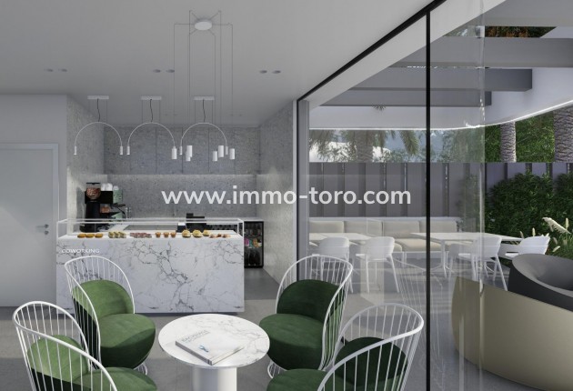 New Build - Detached house / Townhouse - Guardamar - EL RASO