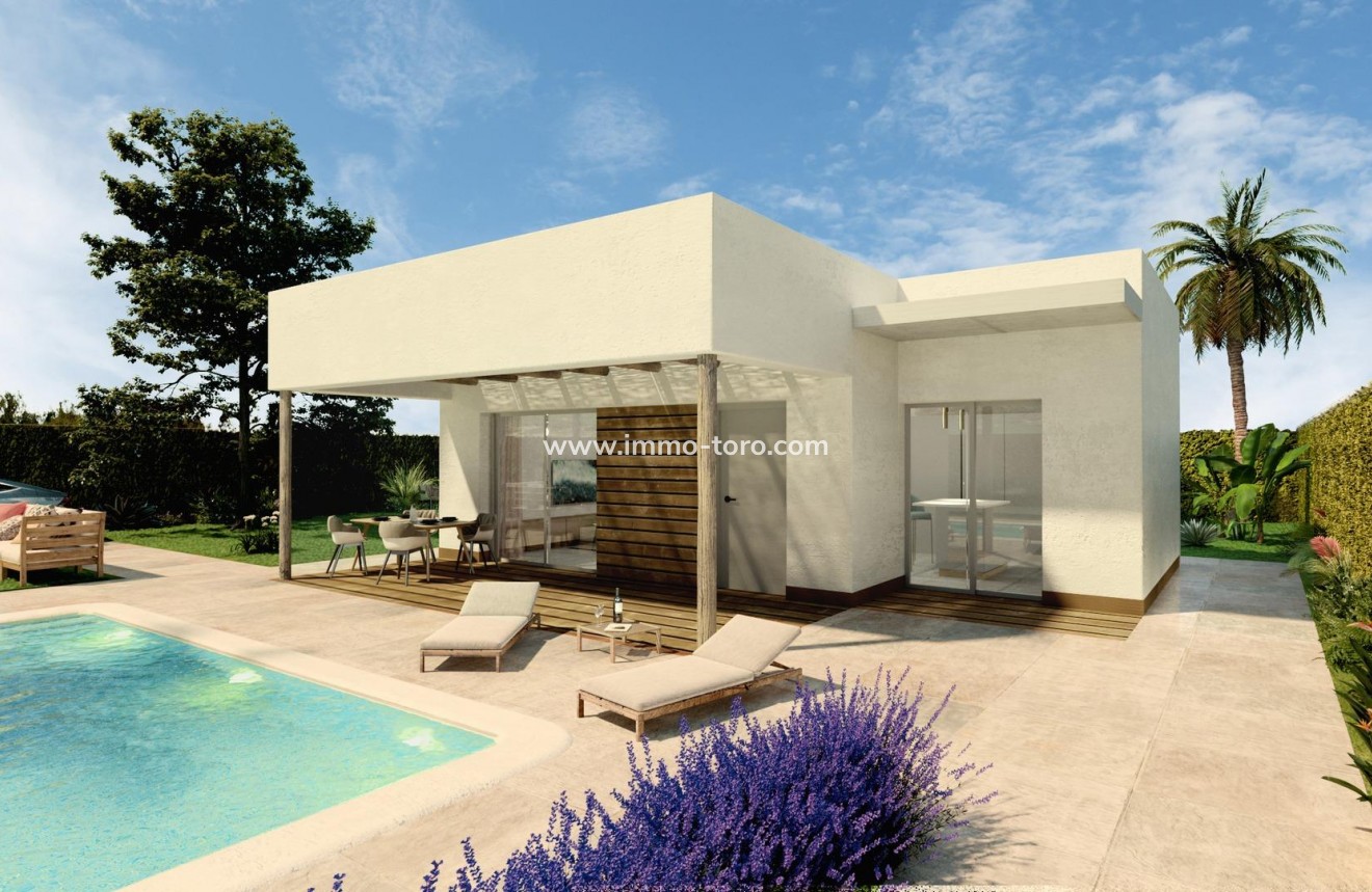 New Build - Villa - Hondon de las Nieves - Urbaniz. La Montañosa