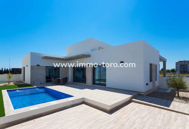 Nouvelle construction - Villa - Daya Nueva