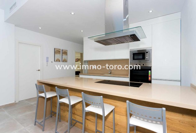 Nouvelle construction - Villa - Daya Nueva