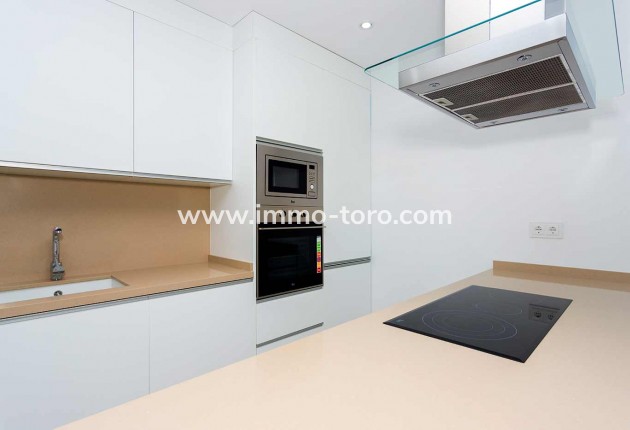 Nouvelle construction - Villa - Daya Nueva