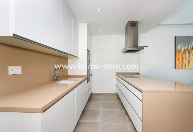 Nouvelle construction - Villa - Daya Nueva