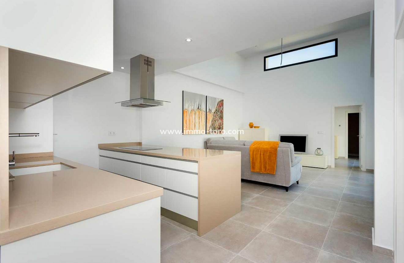 Nouvelle construction - Villa - Daya Nueva