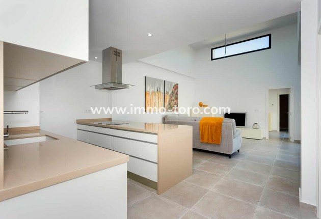 Nouvelle construction - Villa - Daya Nueva