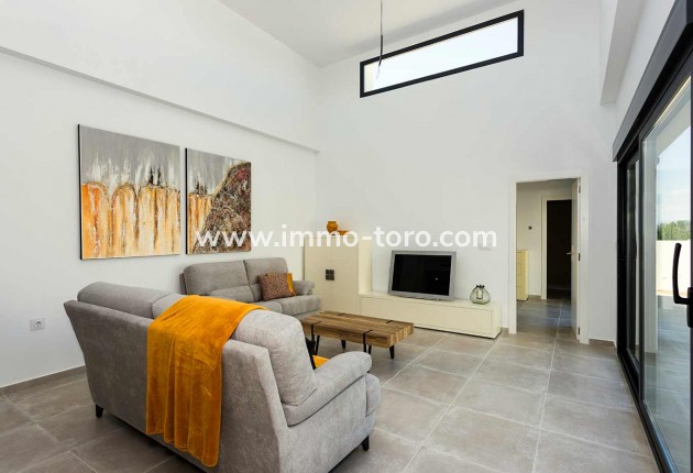 Nouvelle construction - Villa - Daya Nueva