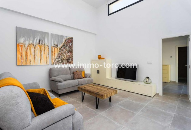 Nouvelle construction - Villa - Daya Nueva