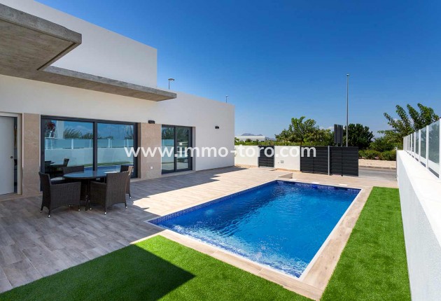 Nouvelle construction - Villa - Daya Nueva