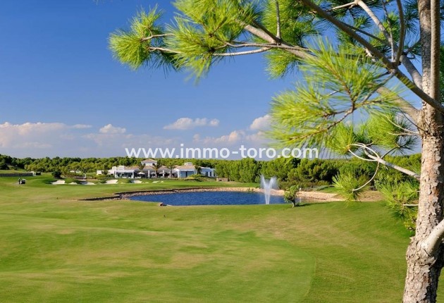 Nouvelle construction - Penthouse - Orihuela - Las Colinas Golf