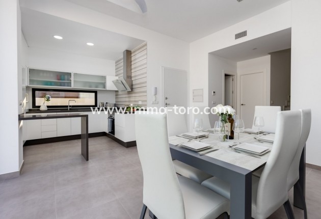 New Build - Villa - Pilar de la Horadada - pueblo