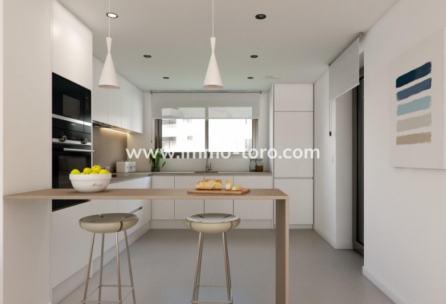 New Build - Penthouse - Casares - Buenas Noches