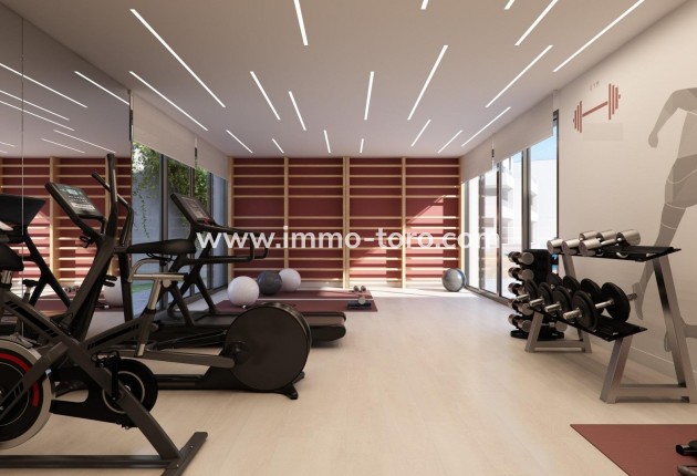 New Build - Penthouse - Casares - Buenas Noches