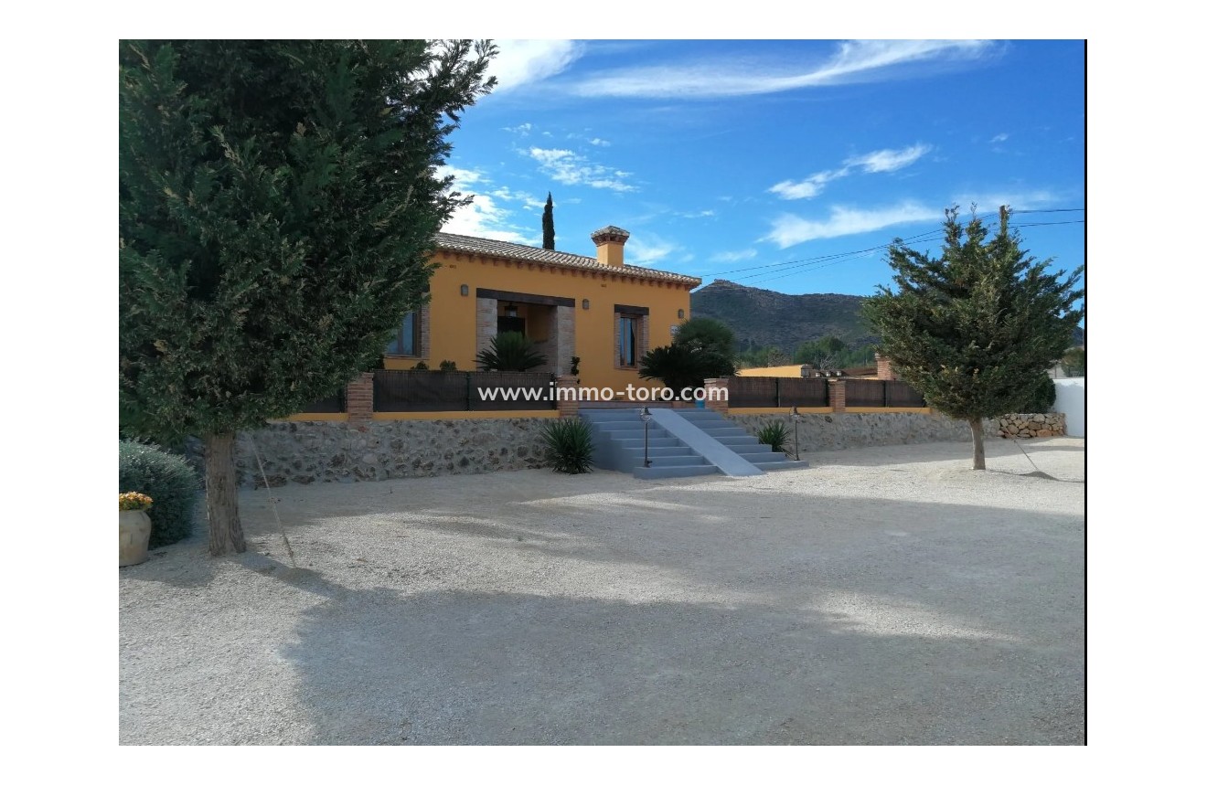 Venta - Villa / Chalet - Jalon - Jalón