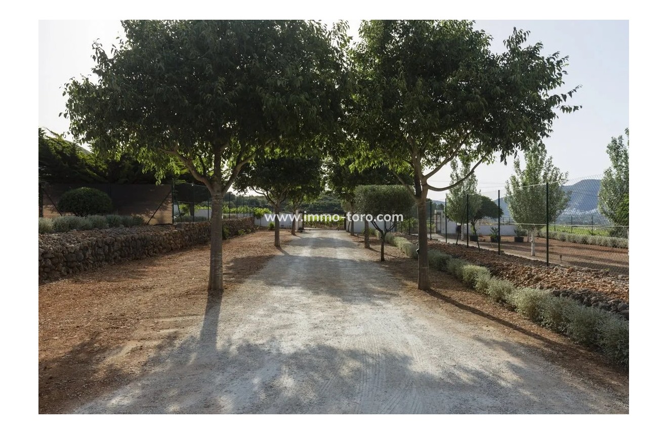 Venta - Villa / Chalet - Jalon - Jalón