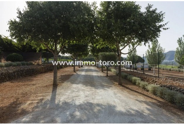 Venta - Villa / Chalet - Jalon - Jalón