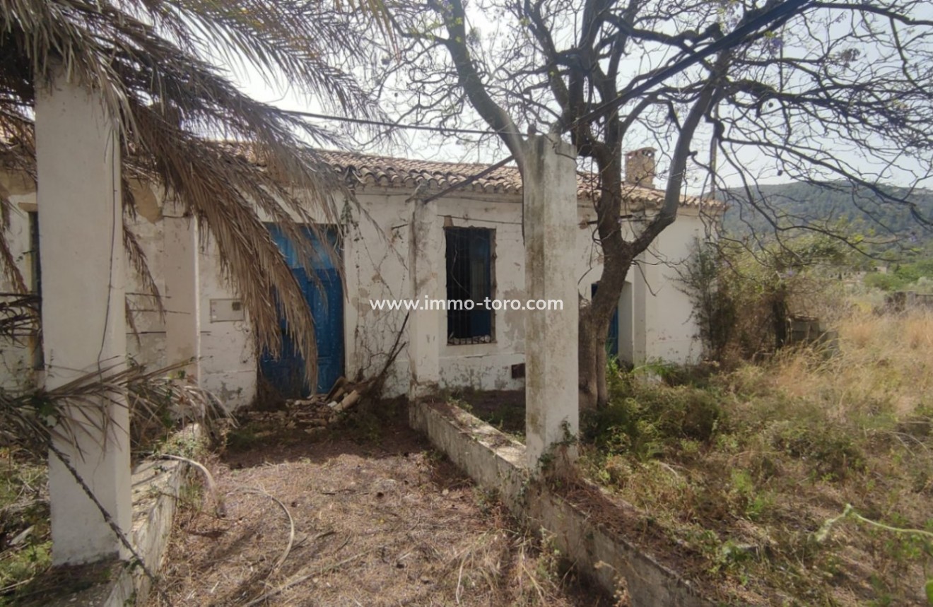 Venta - Villa / Chalet - Orba