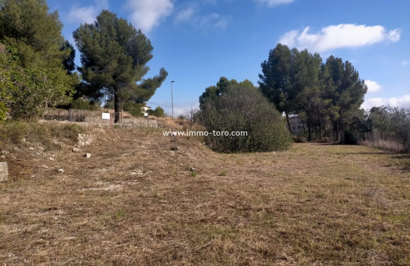 Venta - Villa / Chalet - Orba