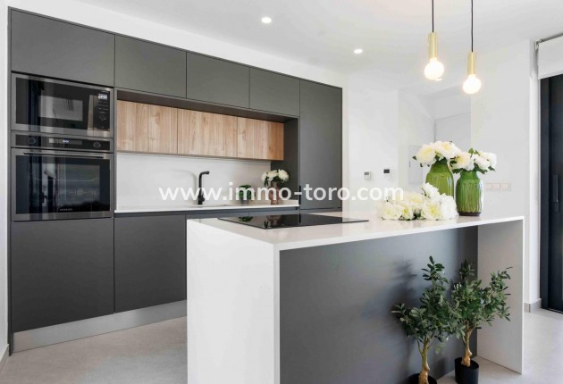 New Build - Villa - Rojales - Benimar