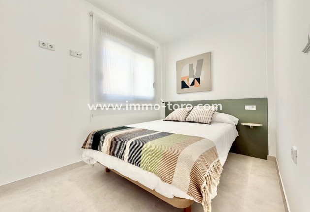 Nouvelle construction - Appartement - Cox