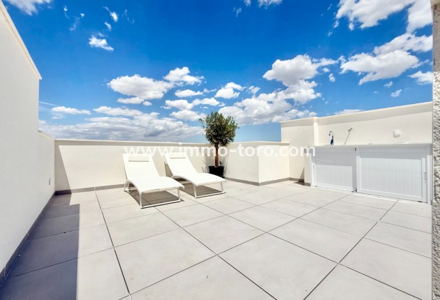 New Build - Apartment - Cox