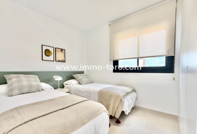 Nouvelle construction - Appartement - Cox