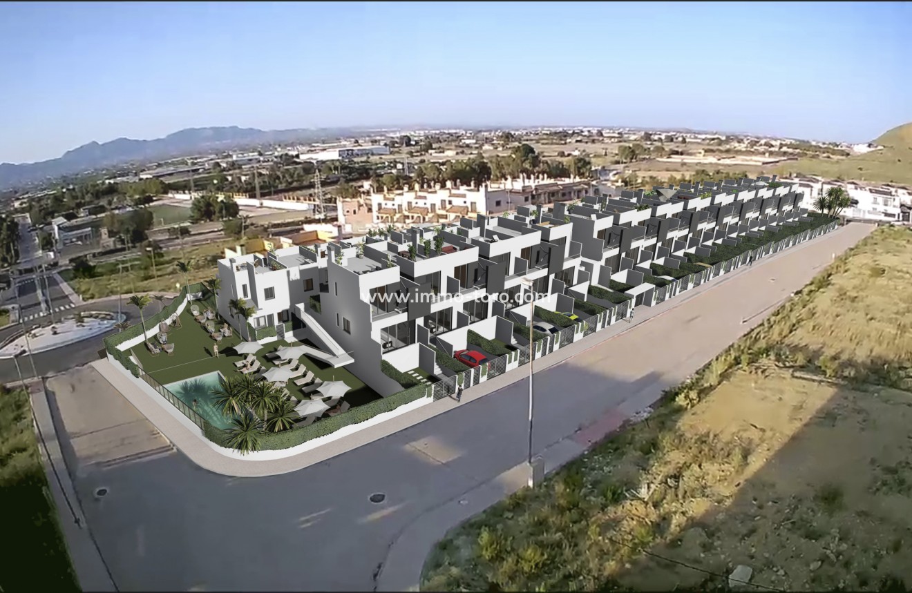 Nouvelle construction - Maison jumelée - Cox