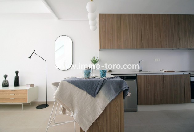 New Build - Detached house / Townhouse - Pilar de la Horadada - El Pilar de la Horadada