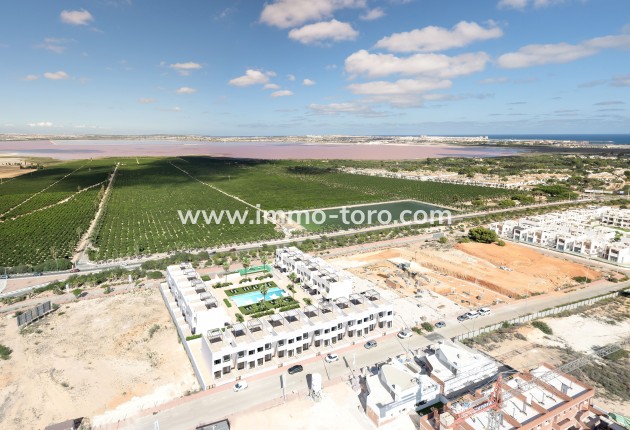 Nouvelle construction - Appartement - Torrevieja