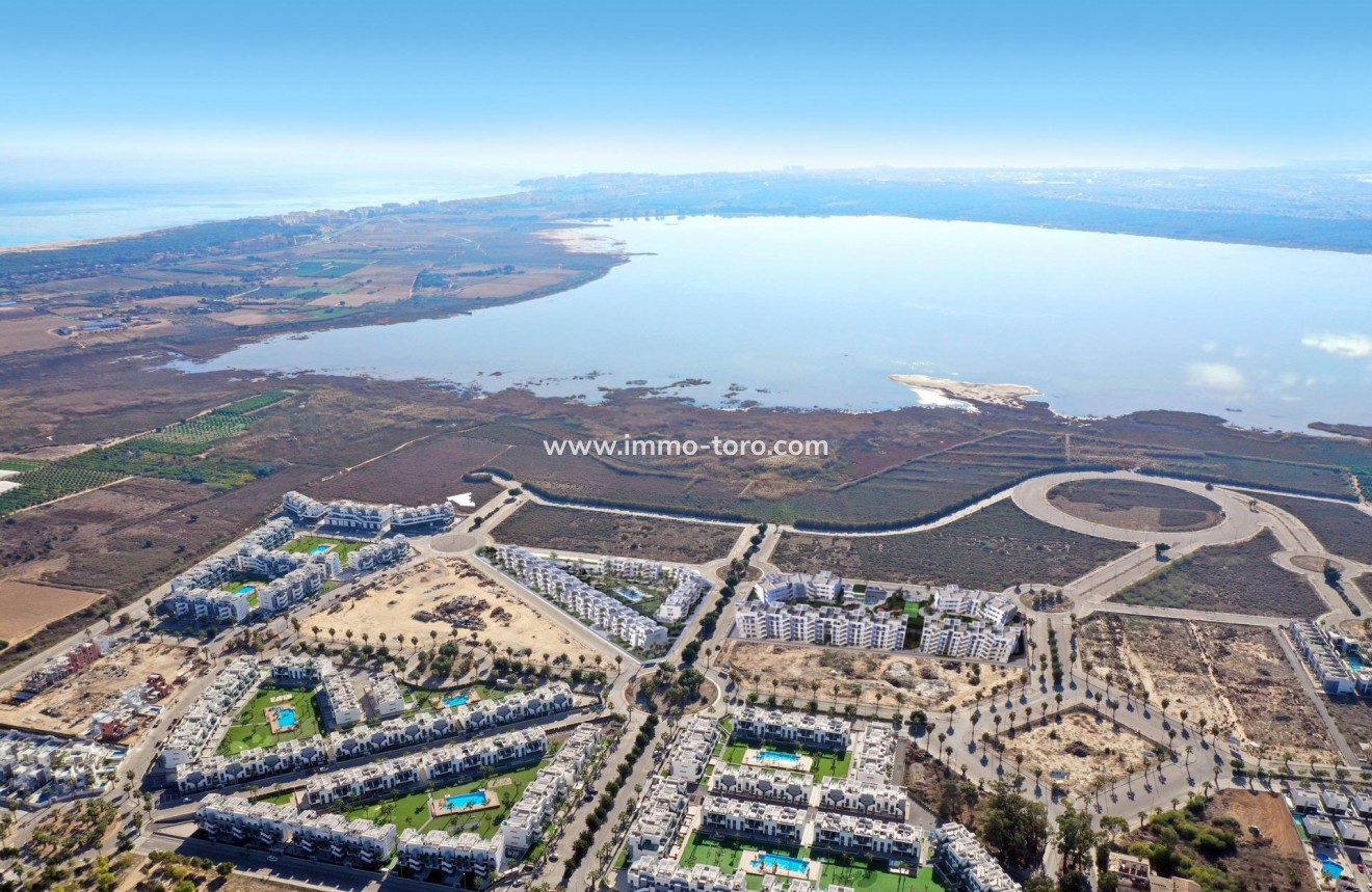 New Build - Apartment - Guardamar - EL RASO