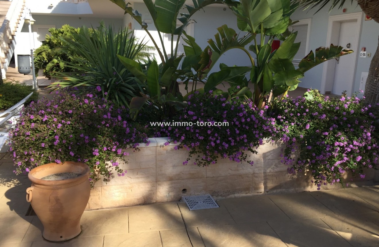 Herverkoop - Appartement  - Benissa - Fustera