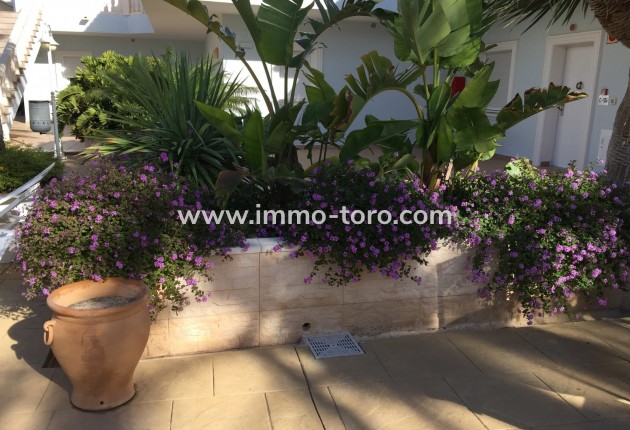 Herverkoop - Appartement  - Benissa - Fustera