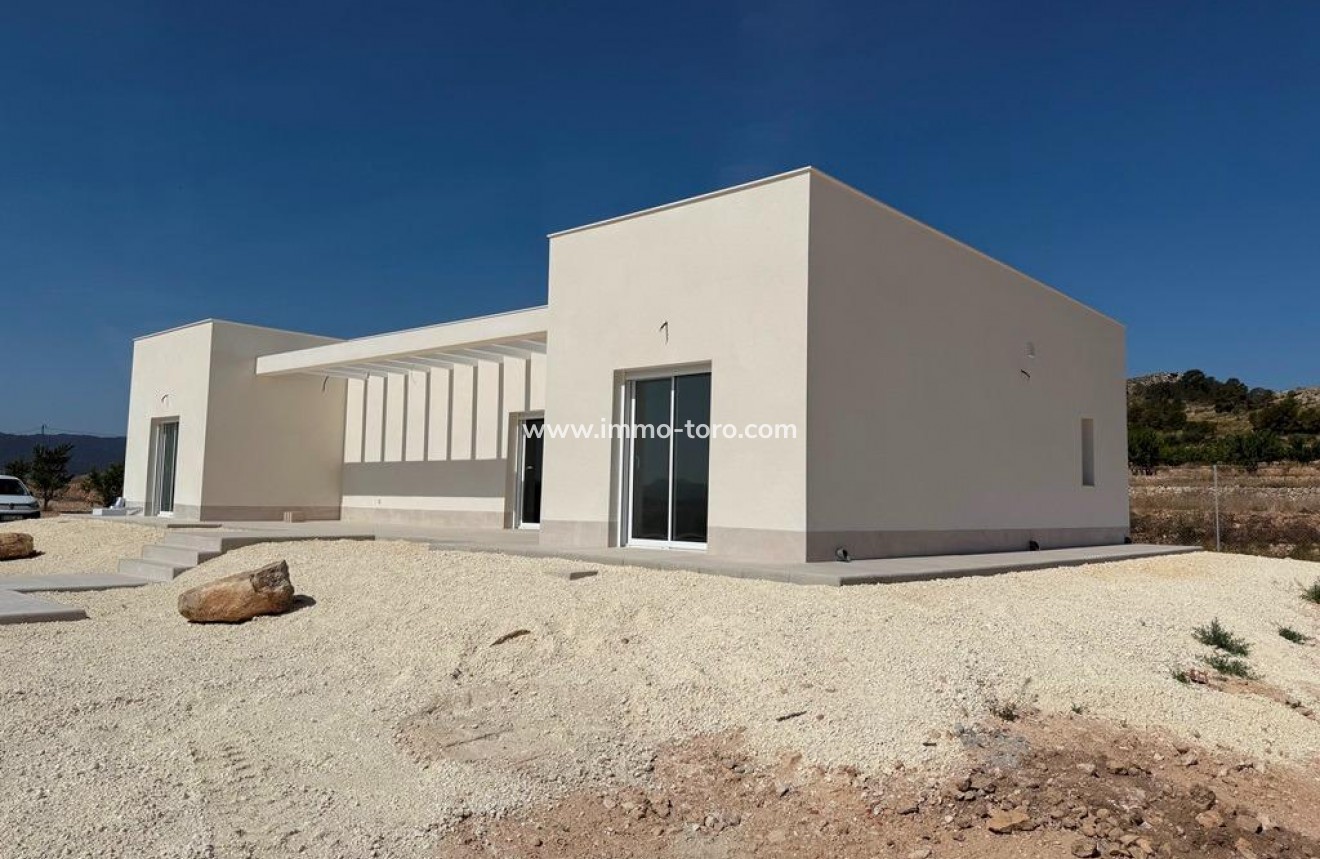 New Build - Villa - Pinoso - Camino Del Prado